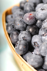 Basket of Blueberries