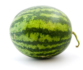 Ripe green watermelon isolated on white background