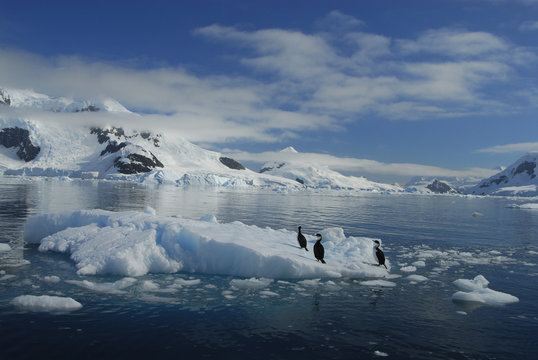 View in Antarctica