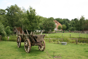 Dorfwiese