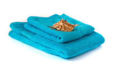 blue towel with seashell