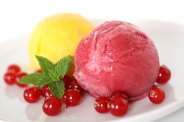 Frucht Sorbet mit Johannisbeeren und Minze