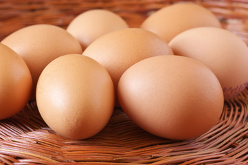 Brown chicken eggs