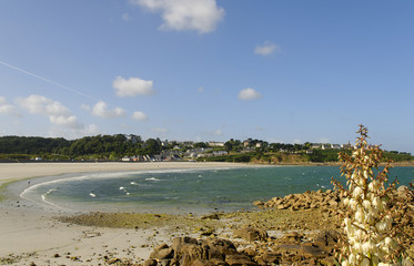 plage de la côte d'armor