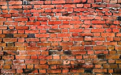 brick wall