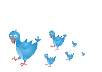 Bird tło z niebieskimi ptakami