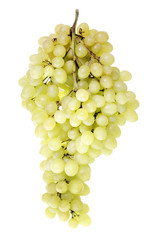 grape
