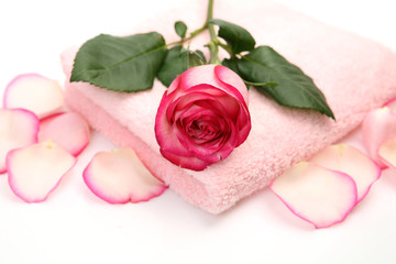 Subjects for a shower