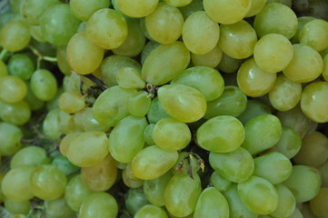weisse Weintrauben