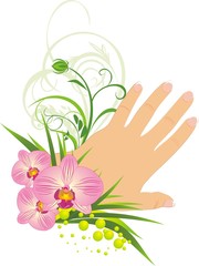 French manicure and beautiful orchids. Vector