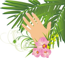 Womanish hand and branch of palm. Vector