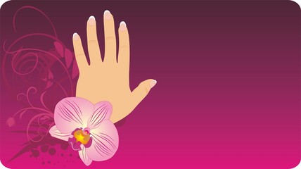 French manicure and orchid. Background for card. Vector