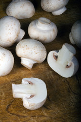 mushroom on the table, champignon