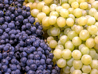 rote und weiße Trauben