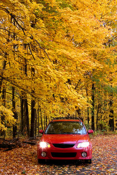 Fototapeta Red car in park