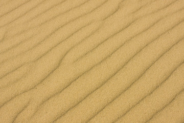 some waves in the sand