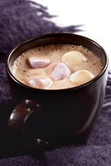 Hot Chocolate with Marshmallows