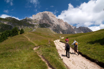 Fototapeta na wymiar Alpy w Południowym Tyrolu