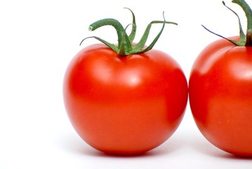 Fresh tomato background