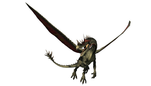 fligender drache