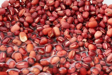 Close up of red beans soaked in water