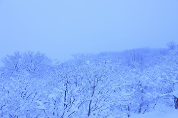 雪景色