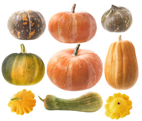 Pumpkin on white background