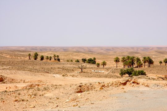 Paysage Tunisien