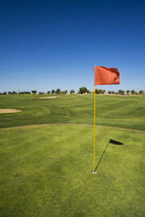 Obraz premium On the green