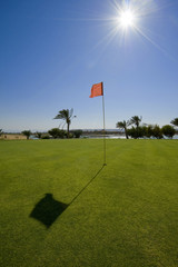 Obraz premium Golf green in the sun