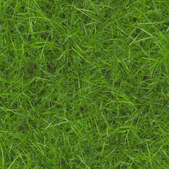 Gras - nahtlos aneinandersetzbar