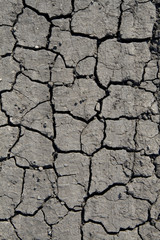cracked earth