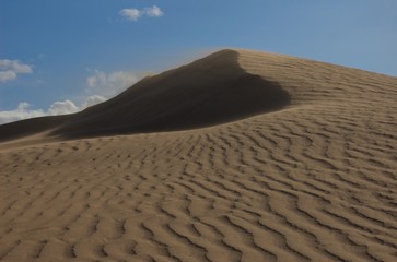 Fototapeta na wymiar Sand Dunes in Gobi Desert