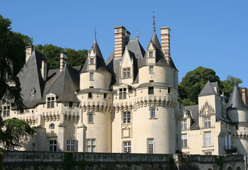 Fototapeta na wymiar Usse castle, France