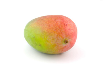 une mangue