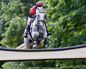 Horse & Rider in Red