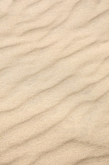 Fototapeta na wymiar waves of sand