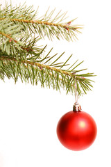 weihnachtskugel,weihnachten