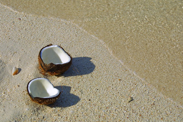 Opened coconut