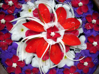 Composizione floreale 2