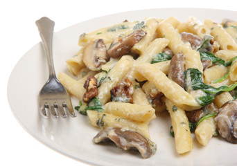 Rigatoni Pasta with Cheese Sauce, Mushrooms & Spinach