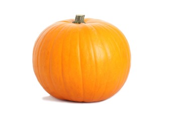 Pumpkin on the white background