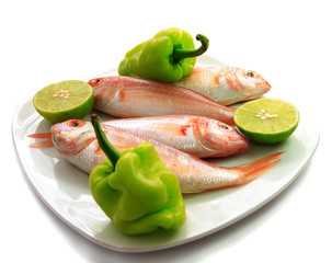 Dish of Fish