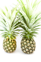 Pineapple on a white background