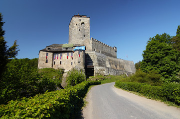Fototapeta na wymiar Kost Castle, Czech republic
