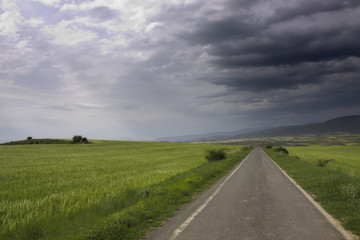 Fototapeta na wymiar Droga między polami