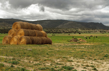 paisaje de campo