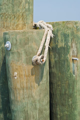 Pilings on a Wharf