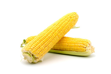 Corn on the cob