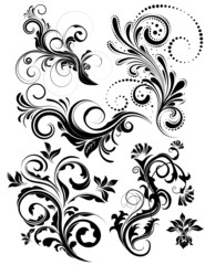 Vector floral pack